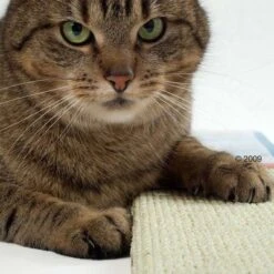 Trixie Sisal Cat Scratching Board -Savic Plan Store katzen kratzmatte2 1