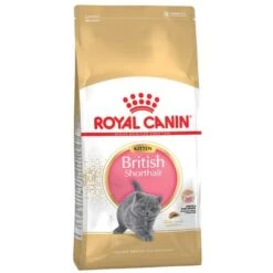 Royal Canin Breed Dry Cat Food Economy Packs 12 Royal Canin Breed Dry Cat Food Economy Packs -Savic Plan Store la pla royalcanin britsh ki 6