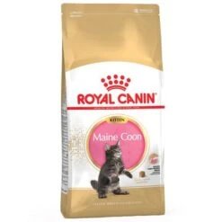 Royal Canin Breed Dry Cat Food Economy Packs 10 Royal Canin Breed Dry Cat Food Economy Packs -Savic Plan Store la pla royalcanin coon kitt 0