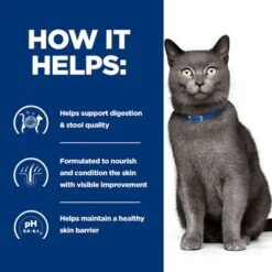 Hill's Prescription Diet Feline D/d Food Sensitivities - Duck & Green Peas -Savic Plan Store pd dd cat bk28323m how helps uk 9