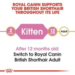 Royal Canin British Shorthair Kitten -Savic Plan Store rc fbn kittenbritishshorthair cv1 001 uk english 9