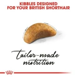 Royal Canin British Shorthair Kitten -Savic Plan Store rc fbn kittenbritishshorthair cv3 017 uk english 9