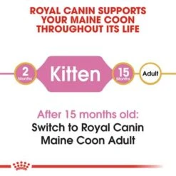 Royal Canin Maine Coon Kitten -Savic Plan Store rc fbn kittenmainecoon cv1 002 uk english 7