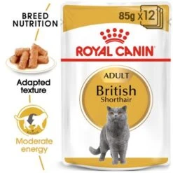 Royal Canin British Shorthair Adult In Gravy