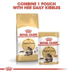 Royal Canin Maine Coon Adult In Gravy -Savic Plan Store rc fbn wet mainecoon cv eretailkit 4 7