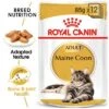 Royal Canin Maine Coon Adult In Gravy