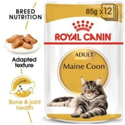 Royal Canin Maine Coon Adult In Gravy