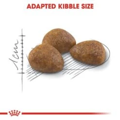 Royal Canin Outdoor 7+ -Savic Plan Store rc fhn outdoor7 cv eretailkit 3 0