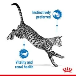 Royal Canin Indoor Sterilised 7+ In Gravy -Savic Plan Store rc spt wet ind7stergravy page 3 1 6