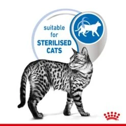 Royal Canin Indoor Sterilised 7+ In Gravy -Savic Plan Store rc spt wet ind7stergravy page 4 1 1