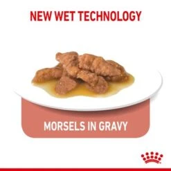Royal Canin Indoor Sterilised 7+ In Gravy -Savic Plan Store rc spt wet ind7stergravy page 5 1 3