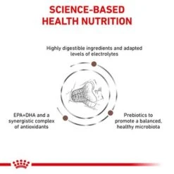 Royal Canin Veterinary Cat – Gastrointestinal Fibre Response 11 Royal Canin Veterinary Cat – Gastrointestinal Fibre Response -Savic Plan Store rc vet dry catgastrofr eretailkit b1 page 4 8