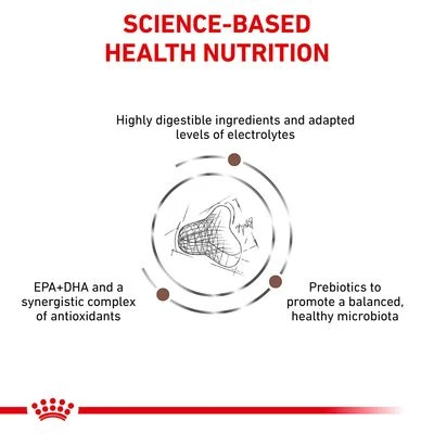 Royal Canin Veterinary Cat – Gastrointestinal Fibre Response 4 Royal Canin Veterinary Cat – Gastrointestinal Fibre Response - Image 4