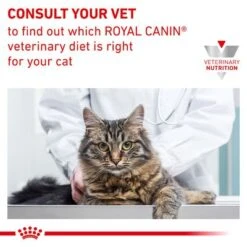 Royal Canin Veterinary Feline Sensitivity Control -Savic Plan Store rc vet dry catsensctrl b1 page 7 2