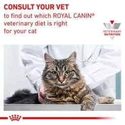 Royal Canin Veterinary - Renal With Chicken -Savic Plan Store rc vet wet catrenchicktsig eretailkit b1 cv 7 med res basic 5