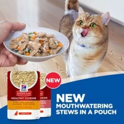 Hill's Science Plan Kitten Healthy Cuisine With Chicken & Ocean Fish -Savic Plan Store sp healthy cuisine thumbnails cat key visual 3