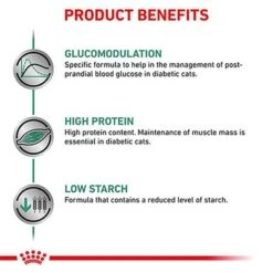Royal Canin Veterinary - Diabetic DS 46 -Savic Plan Store vhn diabetic cat dry b1 mv5 med res basic 5