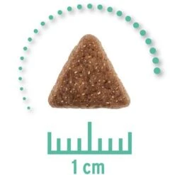 Concept For Life Veterinary Diet Economy Pack 2 X 10kg -Savic Plan Store zop 19 0101 cfl vet cat hypoallergenic 1000x1000px 2