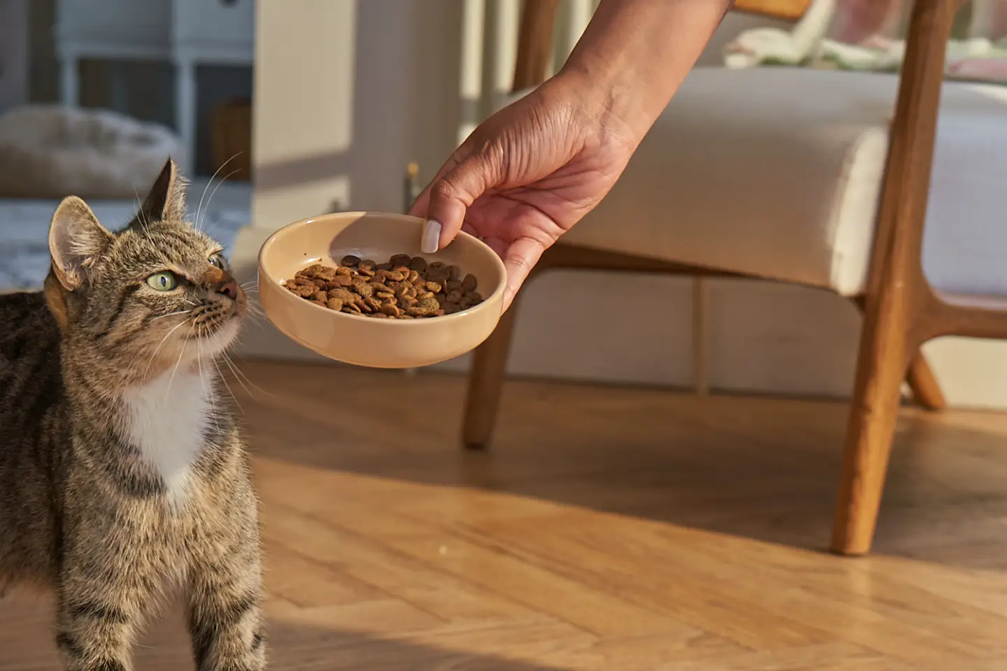 Savic Plan Store -Savic Plan Store 66c5a80e2d30076e36914aee blink hero banner